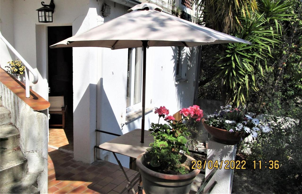 Nice - Studio Independant En Villa - Mer Ville Calme Jardinet Εξωτερικό φωτογραφία